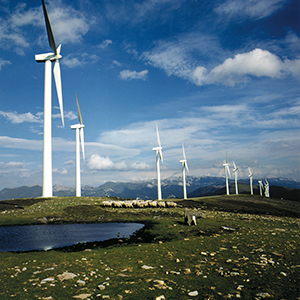 Foto Iberdrola arranca el complejo Cavar con el que refuerza su inversión en eólica en España.